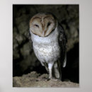 Suche nach galapagos poster Inseln