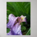 Suche nach rain poster Grün