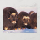 Suche nach nordamerika postkarten North america