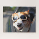Suche nach brillen puzzle Welpe