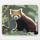 Suche nach fell mousepads Tierwelt