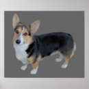 Suche nach pembroke poster Korgi