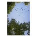 Suche nach vogelnest poster Jede person