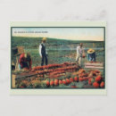 Suche nach plantage postkarten Vintag