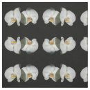 Suche nach foto stoffe Blume