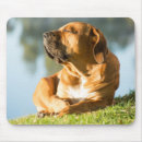Suche nach schöne hunde mousepads Maus