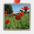 Suche nach mohnblume ornamente Blumen
