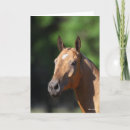 Suche nach tekst karten Pferd