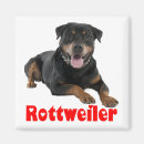 Suche nach rottweiler hund magnete Welpe