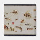 Suche nach brueghel magnete 17
