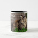Suche nach wildkatzen tassen Wilde katze