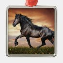 Suche nach schwarzes pferd ornamente Tier