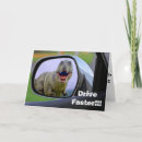 Suche nach lustiges t rex karten Jede person