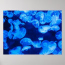 Suche nach jelly poster Natur