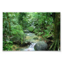 Suche nach nebenfluss poster Moos