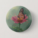 Suche nach zinnia blume buttons Schmetterling
