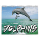 Suche nach delphin kalender Ozean