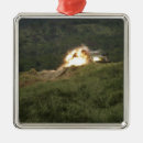 Suche nach schlag ornamente Explosion