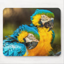 Suche nach wandkunst mousepads Für alle