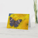 Suche nach entomologie karten Schmetterling