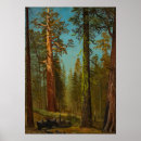 Suche nach giant poster Wald