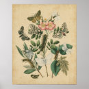 Suche nach bühne poster Tiere