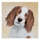 Suche nach irish setter poster Haustier