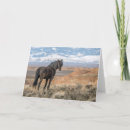 Suche nach hengst karten Jede person