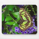 Suche nach malachit mousepads Makro