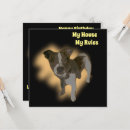 Suche nach stammbaum karten Hund