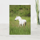 Suche nach mit pferdebild karten Pferdephotographie