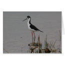 Suche nach stelzen postkarten Schwarz necked stelze