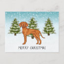 Suche nach vizsla hunde postkarten Weihnachten