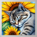Suche nach schlafender poster Schlafende katze