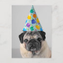 Suche nach mops party postkarten Haustier
