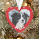 Suche nach weihnachtshunde ornamente Niedlich