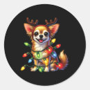 Suche nach lustiger chihuahua aufkleber Weihnachten