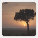 Suche nach masai aufkleber Szene