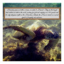 Suche nach honu schildkröte poster Meeresleben