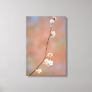 Suche nach japanischer garten poster leinwandbilder Blume