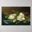 Suche nach magnolien poster Wandkunst