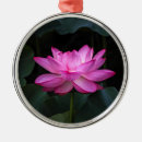 Suche nach lotos ornamente Wasserlilie