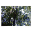 Suche nach belaubt kunst Natur