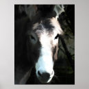 Suche nach farm animals poster Equine