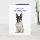 Suche nach french bulldog karten Franchise