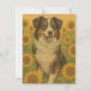 Suche nach australian shepherd postkarten Australisch