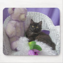 Suche nach katzen spaß mousepads Blume