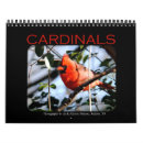 Suche nach kardinäle kalender Vogel