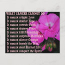 Suche nach krebs postkarten Pink