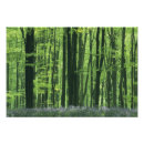 Suche nach lager poster Wildnis